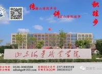 山东海事职业学院2019年教师招聘简章